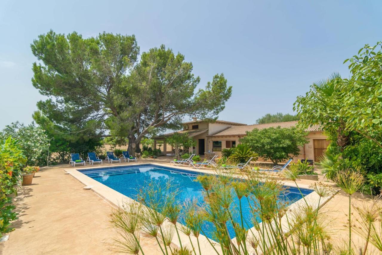 Ribas Villa